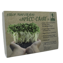 [о179300] INBLOOM Набор микрозелени Кресс-салат